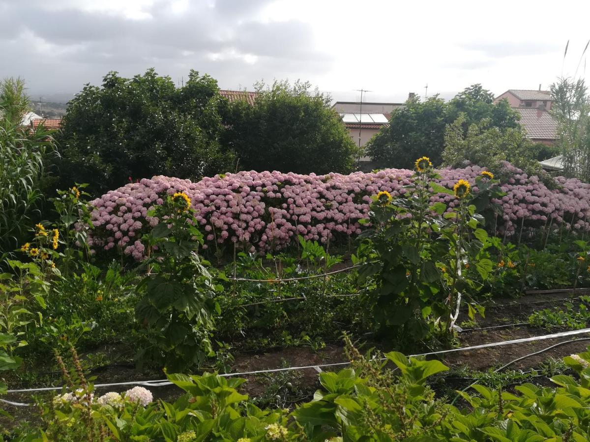Affitta Camere Casa Delle Rose Villanova Monteleone Εξωτερικό φωτογραφία