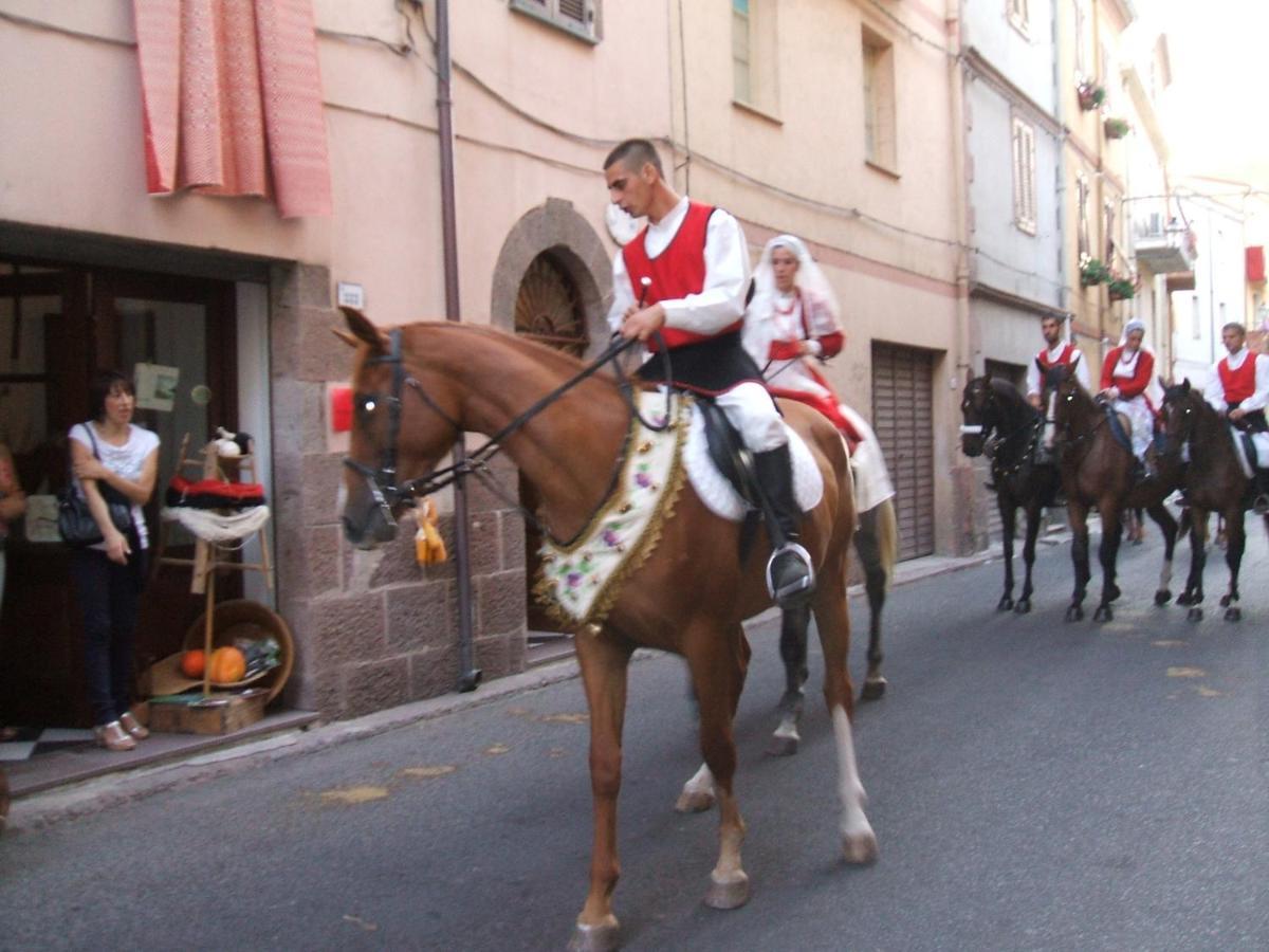 Affitta Camere Casa Delle Rose Villanova Monteleone Εξωτερικό φωτογραφία